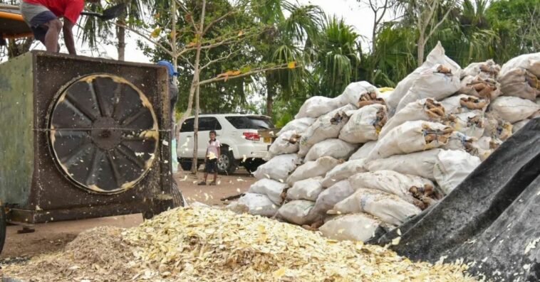 Se inauguró planta procesadora de yuca en Ciénaga de Oro