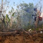 Siguen los esfuerzos por controlar incendio forestal en Sucre