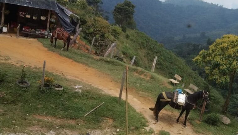 En planadas sona rural