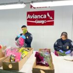 Avianca Cargo, Líder En Transporte De Flor En Colombia, Llevía Estados Unidos Más De 400 Millones De Tallos De Flores Para La Celebración Del Día De La Madre