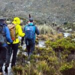 Cobrar más por ingresar al Parque Los Nevados, entre las propuestas para protegerlo