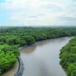 Dique de casi un km, evita inundaciones en zona rural de San Luis de Palenque al Norte de Casanare