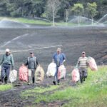 El 74% de campesinos asegura que su calidad de vida mejora con Acceso Colombia