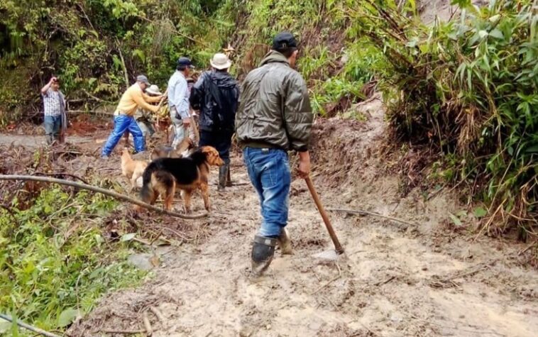 taponamiento de via coello