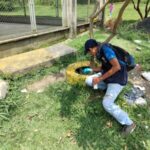 En Dosquebradas, inspección casa a casa para prevenir el dengue