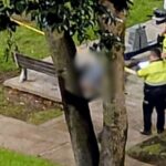 Revelan imágenes del momento en el que asesinan a joven en parque de Engativá Q’HUBO conoció de manera exclusiva el video de las cámaras de seguridad en el que quedó registrado este homicidio. Le contamos.