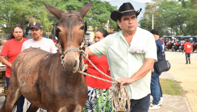 Se dieron a conocer los posibles padrinos o beneficiarios para la adopción de equinos en Yopal