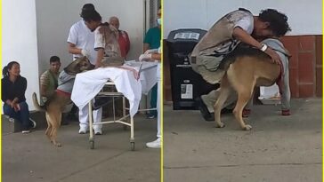 ¡Amigo fiel! perrito esperó a su amo por varias horas a las afueras de un hospital, no levantaba cabeza