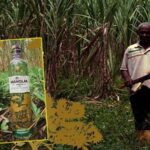 En esta oportunidad, el reconocimiento fue otorgado a la marca Monte Manglar, cuyo viche es elaborado en Tumaco.