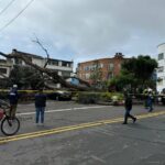 Árbol cayó sobre una casa y varios vehículos en el 20 de Julio La caída del árbol de gran tamaño afectó a cuatro vehículos.