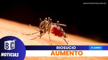 Aumentan los casos de dengue en Riosucio
