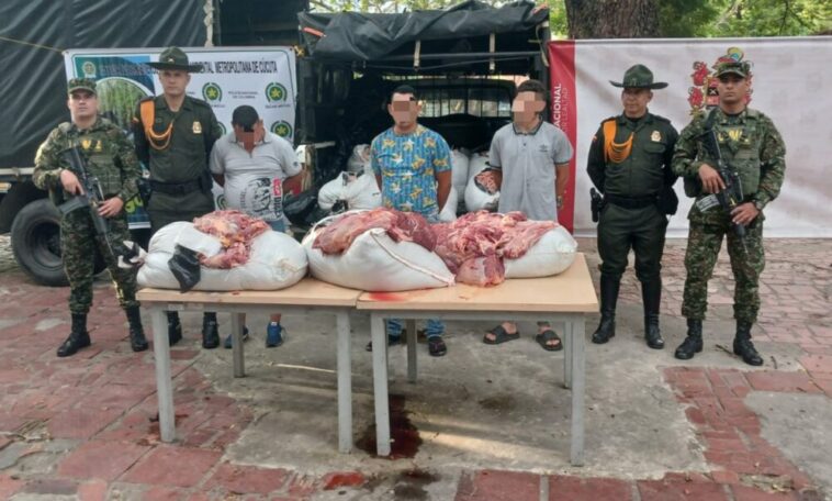 Capturados tres individuos por transporte ilegal de carne de caballo en Cúcuta