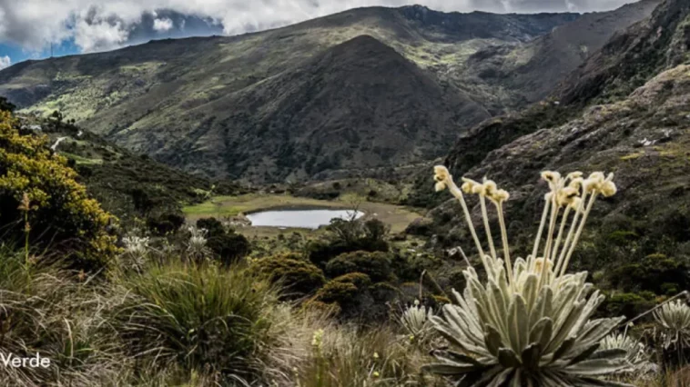 Paramo de Santurban