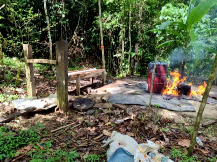 Ejército Nacional destruyó laboratorio gigante de cocaína en Chigorodó