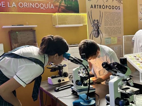 En Yopal está el único Museo de Historia Natural de un colegio de la Orinoquía