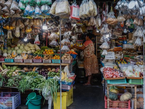 Alimentos