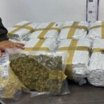 Incautan 20 kilos de marihuana en Villavicencio