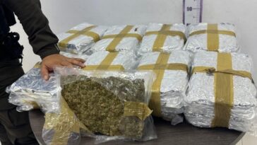 Incautan 20 kilos de marihuana en Villavicencio