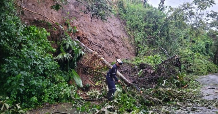 Lluvias causan varias emergencias en San José