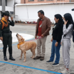 Martina, canina antiexplosivos se jubiló y la adoptaron en Nariño