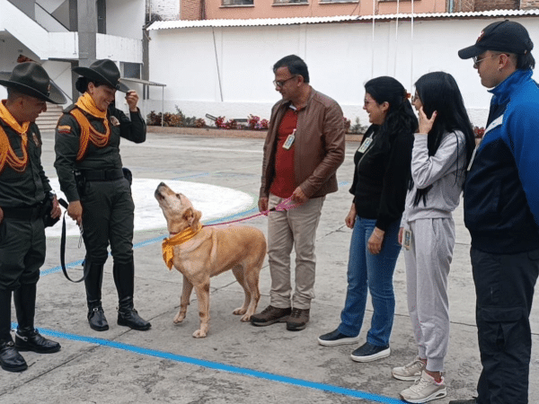 Martina, canina antiexplosivos se jubiló y la adoptaron en Nariño