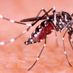 Más de 600 casos y dos muertes por dengue en Valledupar