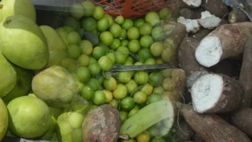 Otra cadena de supermercados comprará cosechas a campesinos de Montería