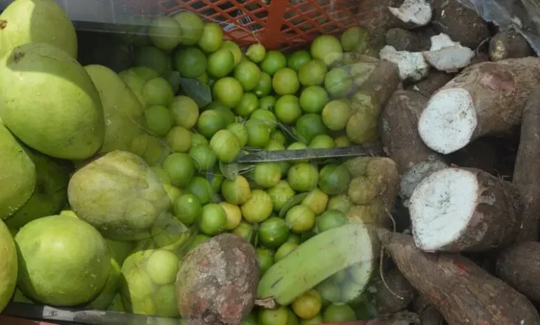 Otra cadena de supermercados comprará cosechas a campesinos de Montería