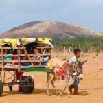 La falta de transporte escolar en Uribia se refleja en esta imagen, cuyo vehículo es conducido por un menor de edad, quien diariamente recoge a los estudiantes en sus rancherías y los lleva a la I.E y después los regresa a sus hogares. Foto de Endry Pacheco.