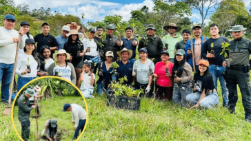 300 árboles sembrados en Nariño como iniciativa para la protección ambiental