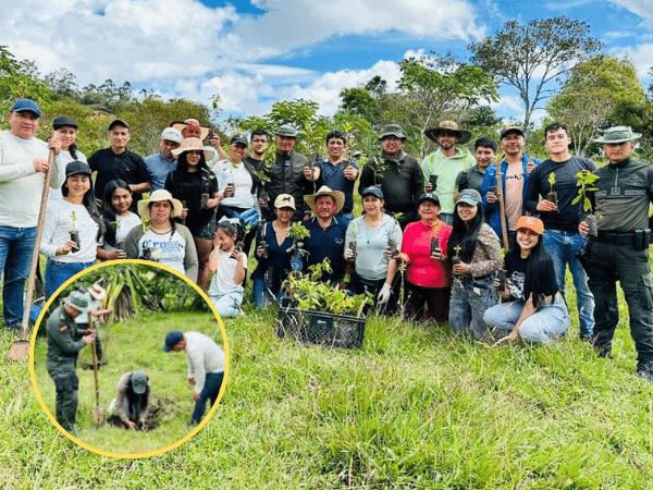 300 árboles sembrados en Nariño como iniciativa para la protección ambiental