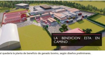 Así será la mega planta de sacrificio de ganado que se construirá en Garzón 9 14 julio, 2024