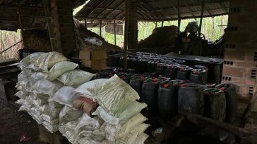 Coca, una pesadilla sin fin para Colombia Crecieron las hectáreas de coca cultivadas en Colombia, así lo advierte la ONU.