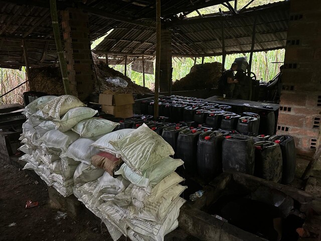 Coca, una pesadilla sin fin para Colombia Crecieron las hectáreas de coca cultivadas en Colombia, así lo advierte la ONU.