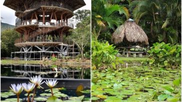 Conoce los dos jardines botánicos que puedes visitar en el Valle del Cauca