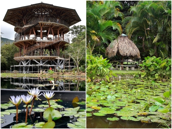 Conoce los dos jardines botánicos que puedes visitar en el Valle del Cauca