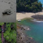 Cosas que hacer en Bahía Solano, Chocó