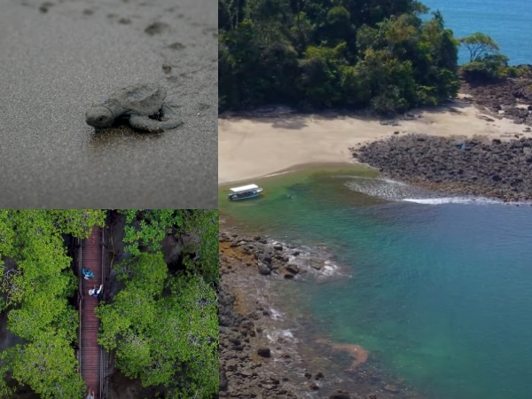 Cosas que hacer en Bahía Solano, Chocó