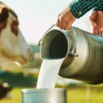 Productores lecheros en crisis