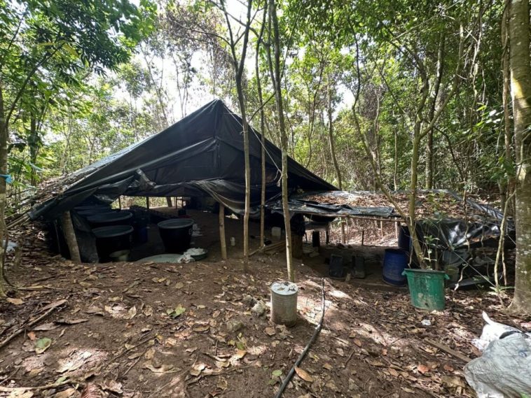 Ejército Nacional Desmantela Megalaboratorio De Cocaína En Durania, Norte De Santander