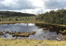 ¡Un paraíso natural beneficia a cerca de un millón de personas con sus aguas! En uno de sus ecosistemas, se encuentra la laguna sabanas con un gran espejo de agua. Foto: Páramos Colombia