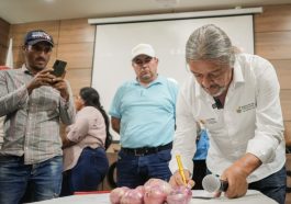 Gobierno Nacional Impulsa Proyecto Para Productores De Cebolla En El Catatumbo