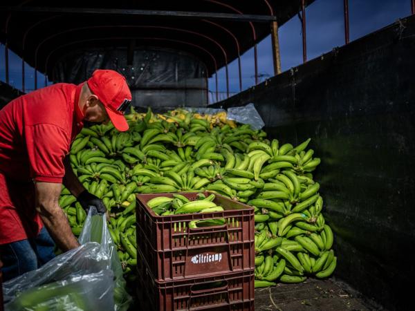 PIB del agro en 2023