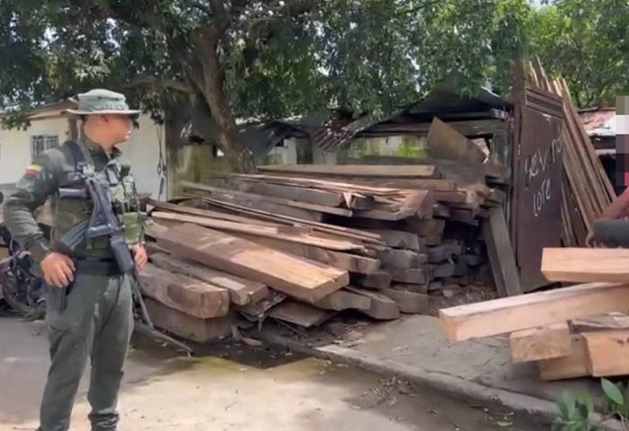 Incautan cargamento de madera ilegal