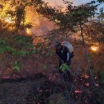 Incendios han afectado 140 hectáreas de vegetación en el Huila.