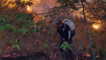 Incendios han afectado 140 hectáreas de vegetación en el Huila.