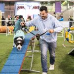 La Escuela De La Felicidad, Una Iniciativa De Expopet Que Promueve El Bienestar Y Recreación De Las Mascotas