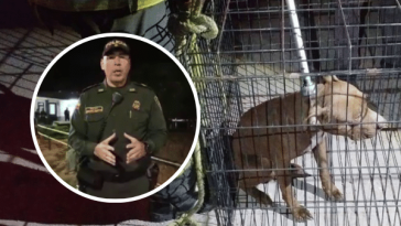 Policía aclaró porque le disparó a perro pitbull en medio de operativo en Pasto