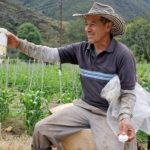 Promueven campaña sobre descontaminación de agroquímicos en Tarqui