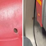 Pulgas y garrapatas y cucarachas en Transmilenio.